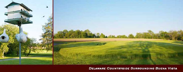Delaware Countryside Surrounding Buena Vista