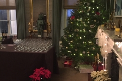 A decorated tree towering over a few presents in the corner with glasses lined up on a neighboring table.